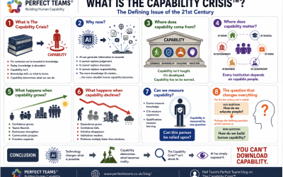 The Capability Crisis™