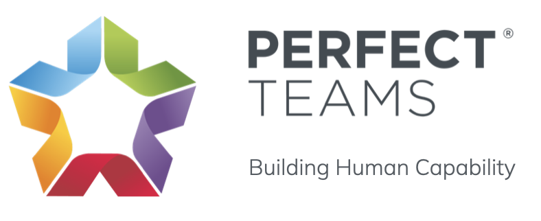 Perfect Teams® - Building Human Capability